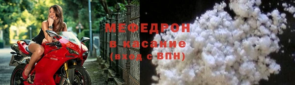 индика Арсеньев
