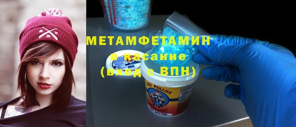индика Арсеньев