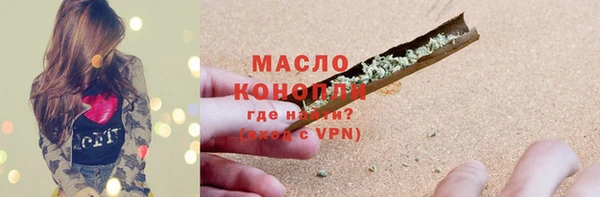 индика Арсеньев