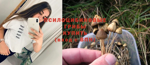 мет Армянск