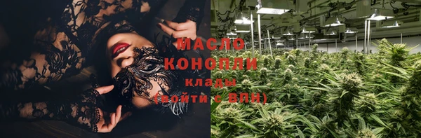 индика Арсеньев