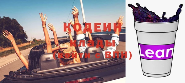 индика Арсеньев