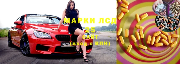 индика Арсеньев